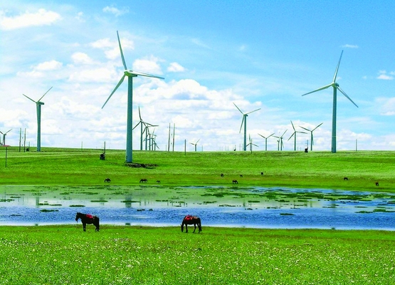 Torre de energía eólica costera Fabaricated basado en el requisito