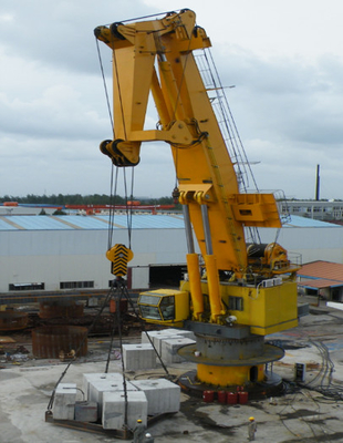 Nudillo hidráulico Jib Crane Mounted On Offshore Platform de 250 kilovatios